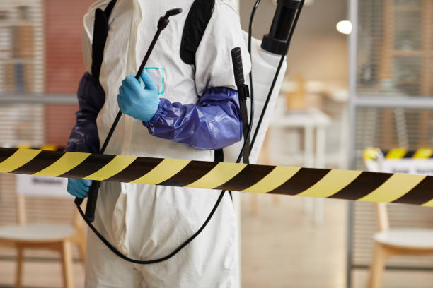 Professional Infectious Disease Decontamination technician working in Green Valley Lake, CA