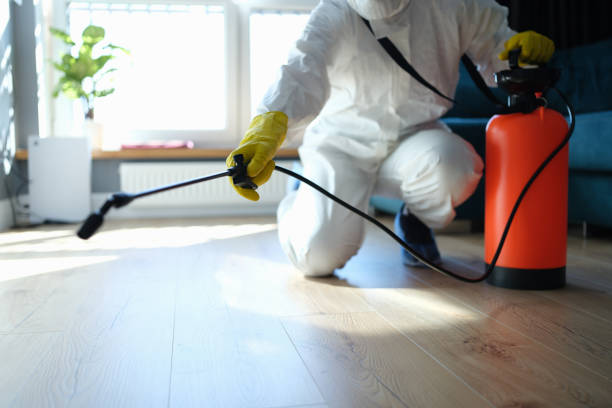Reliable Infectious Disease Decontamination contractor in Green Valley Lake, CA by Trauma Clean Pros